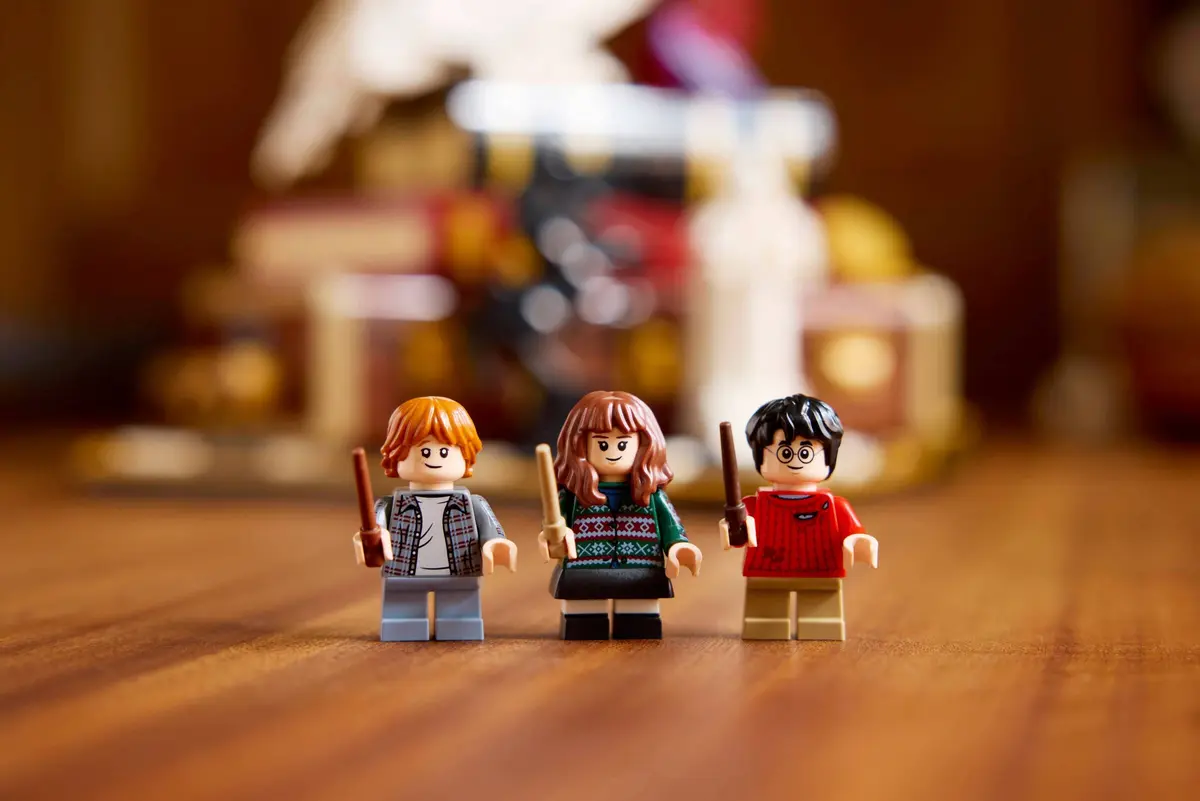 LEGO Harry Potter 76466 Philosopher's Stone - Collectors' Edition set, image 8