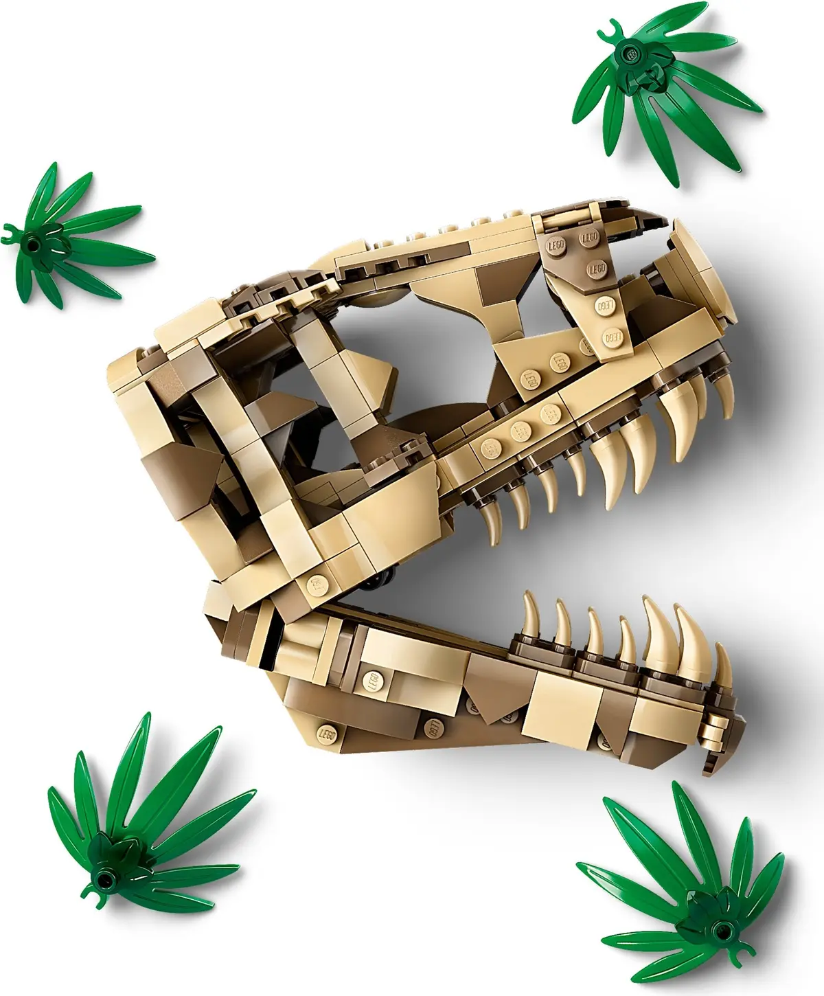 LEGO Jurassic World 76964 Dinosaur Fossils: T. rex Skull set, image 3