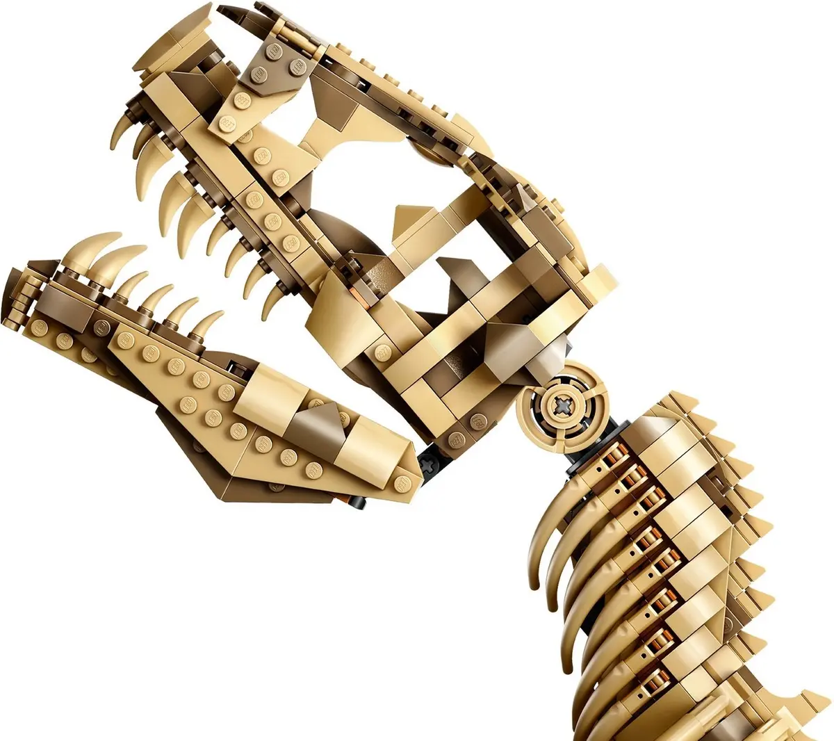 LEGO Jurassic World 76968 Dinosaur Fossils: Tyrannosaurus rex set, image 12