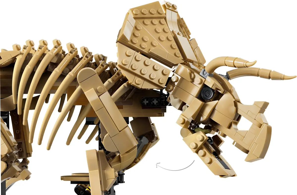 LEGO Jurassic World 77985 Dinosaur Fossils: Triceratops set, image 15