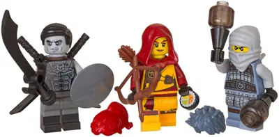 LEGO Ninjago 853687 Accessory Set set