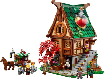 LEGO BrickLink 910062 Alchemist's Shop set