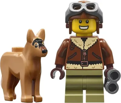 LEGO BrickLink 910067 Hot Air Balloon set, image 7