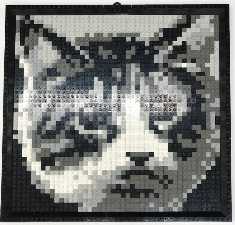 LEGO Basic K34431 Mosaic Cat set