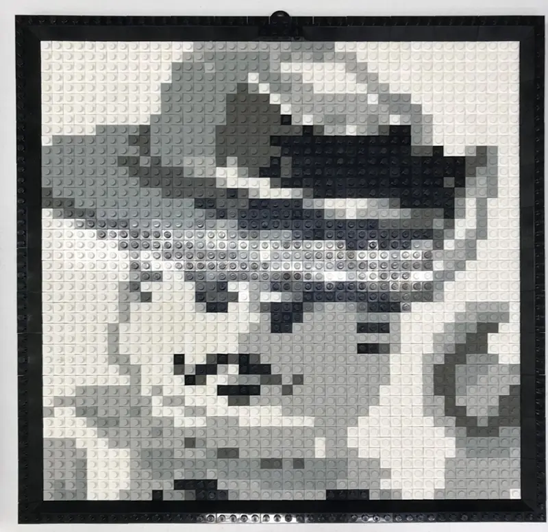 LEGO Basic K34433 Mosaic Johnny Thunder set