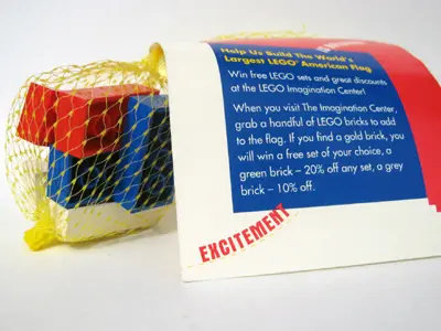 LEGO Promotional MINNEAPOLIS Bag of Bricks set